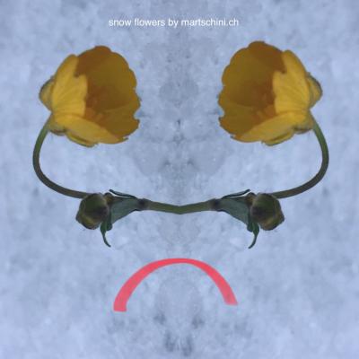 Tfyve0919