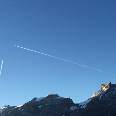 Img 7119